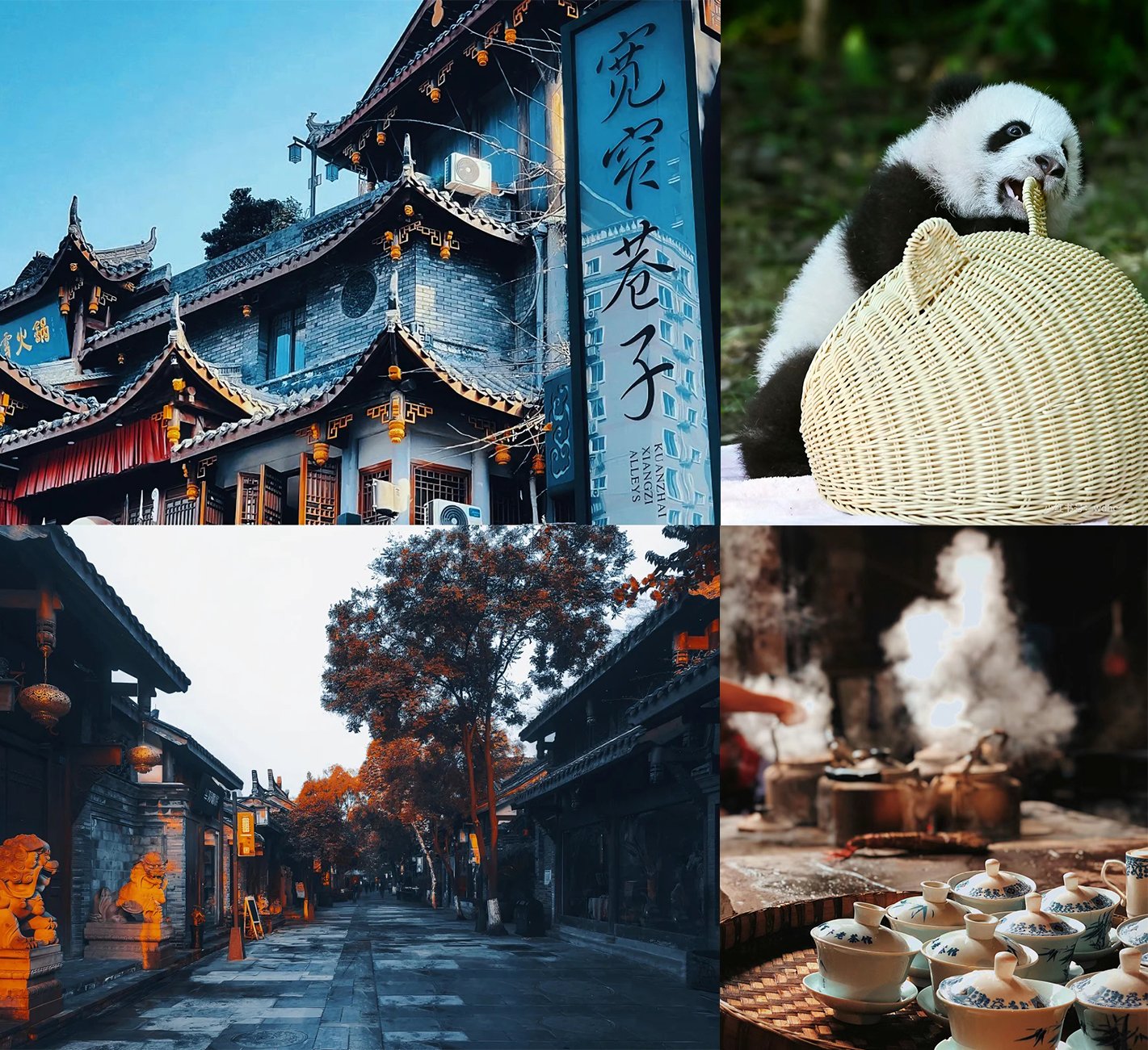 Day-2--Giant-Panda-Base-–-Kuanzhai-Alley-–-Kung-Fu-Tea-Tasting